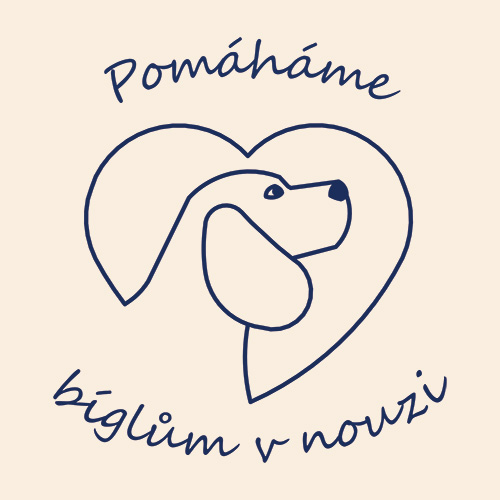 logo_nf